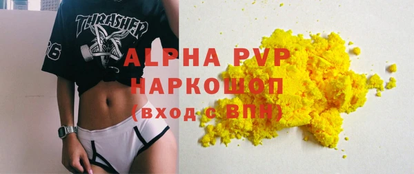 крисы Алексин