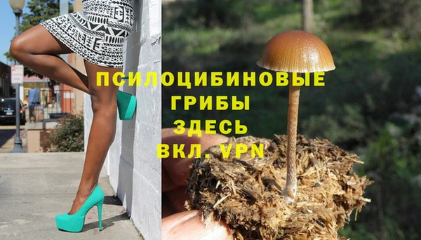 спиды Алзамай