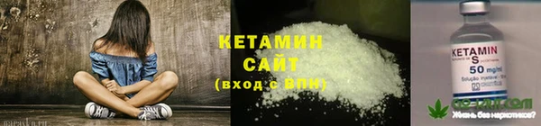 крисы Алексин