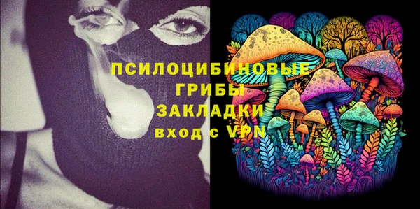 спиды Алексеевка