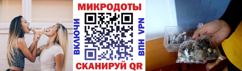где продают   Благодарный  Галлюциногенные грибы прущие грибы 
